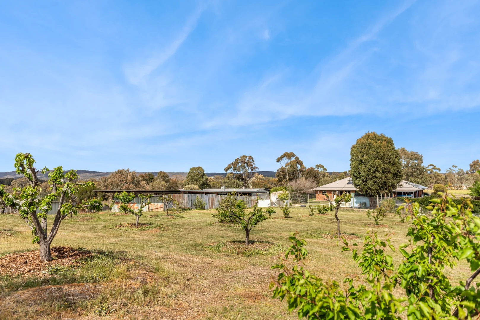 Additional image 15 of 109 Meadows Lane, Heathcote VIC 3523