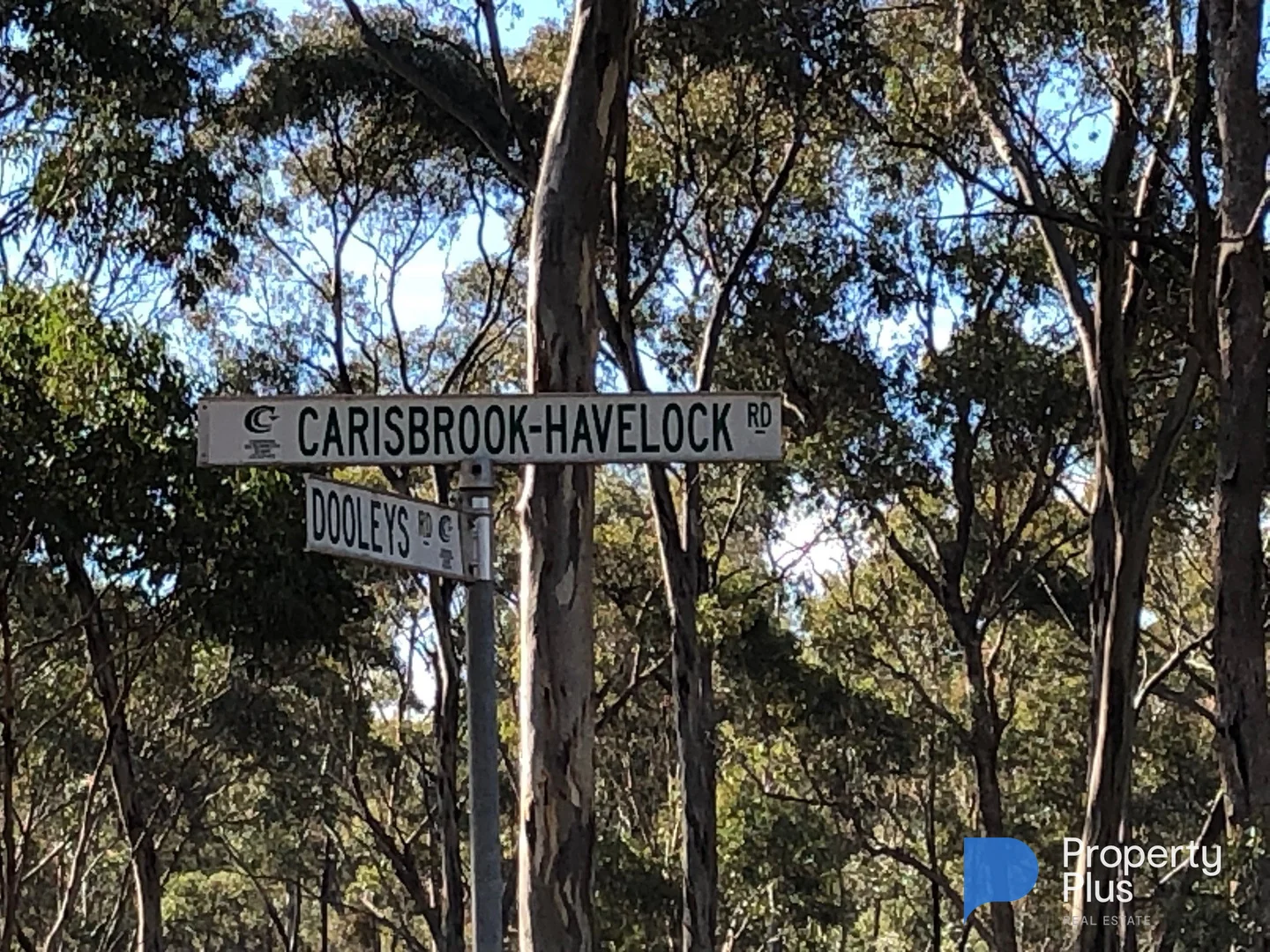 Additional image 3 of 59 Palmer Road, Simson VIC 3465