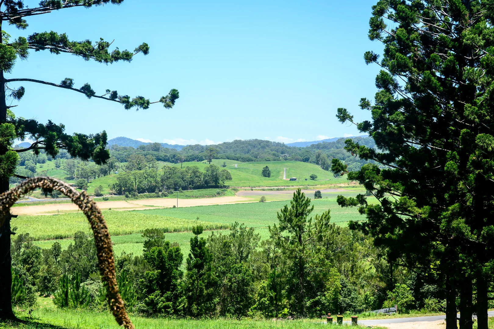 Additional image 24 of 227 Hulls Road, Crabbes Creek NSW 2483