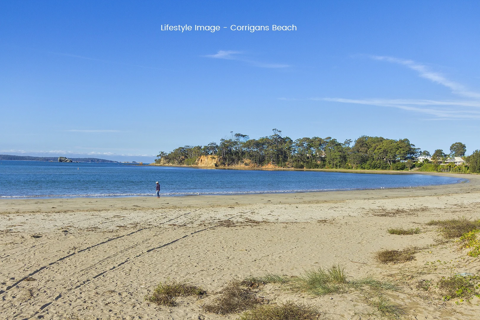 Additional image 6 of 73 Heron Road, Catalina NSW 2536