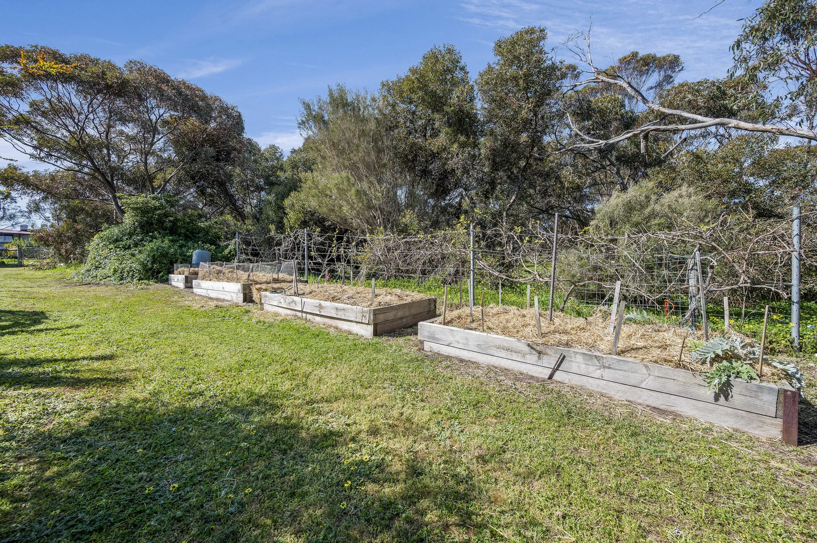 Additional image 31 of 8 Oleander Road, Maslin Beach SA 5170
