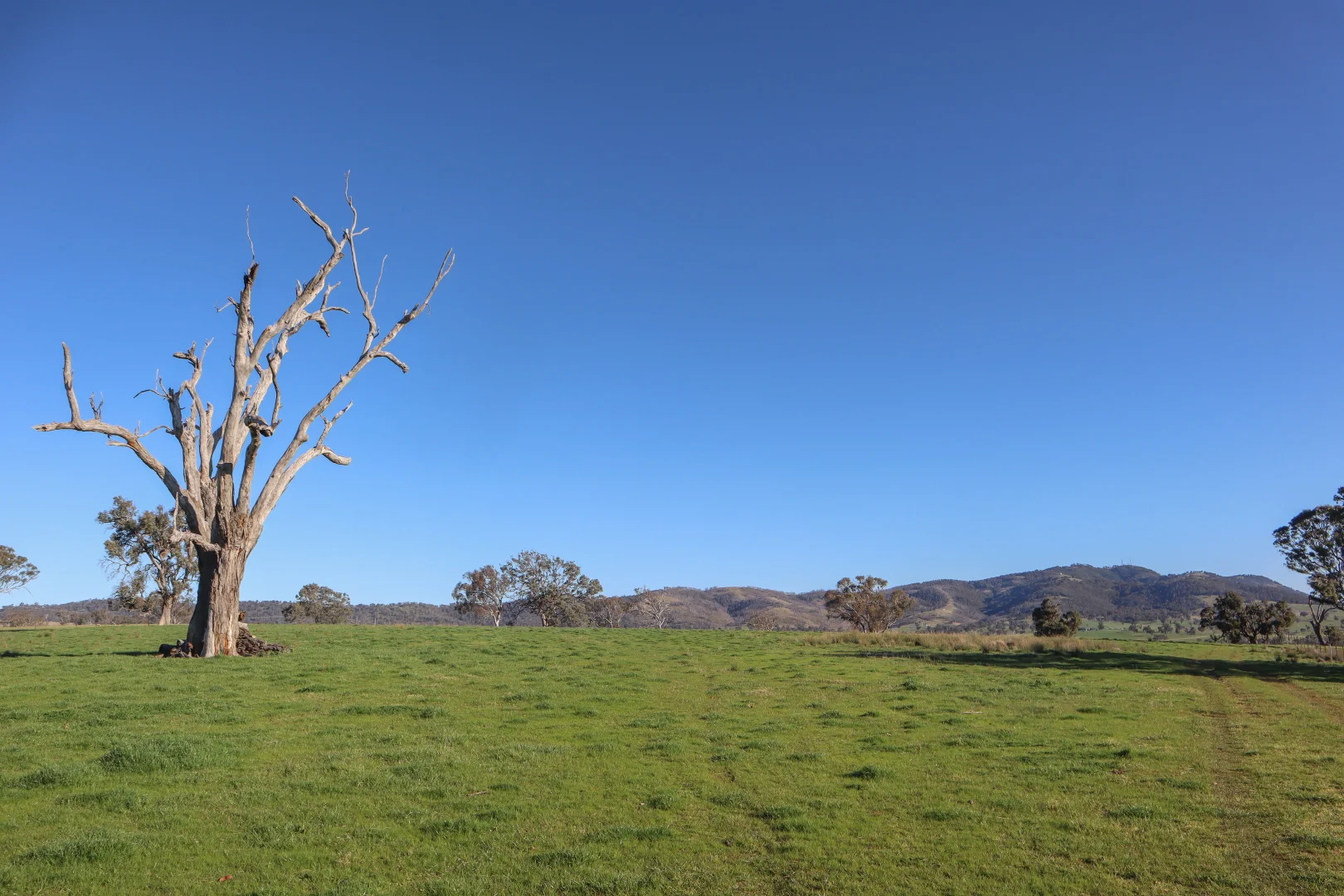 Additional image 12 of "Bonna"  1 Haidee Street, Bendemeer NSW 2355