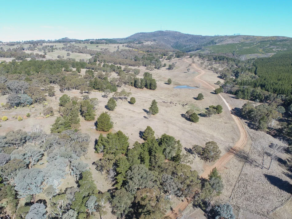 Additional image 9 of 1173 Cargo Road, Lidster NSW 2800