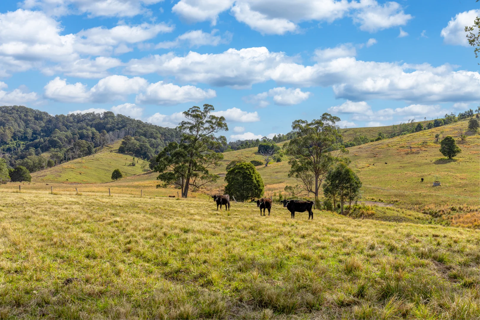 Additional image 6 of Lots/34 & 158 Salisbury Road, Dungog NSW 2420