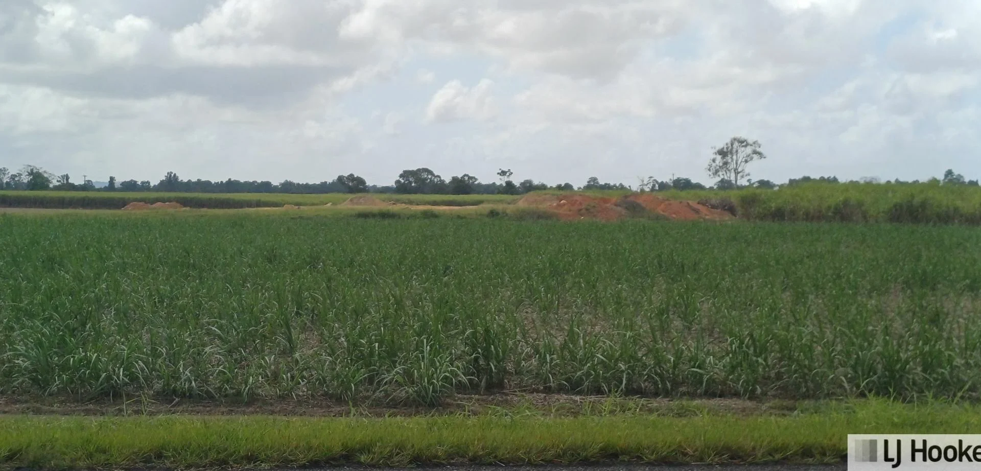 Additional image 15 of Lot 1 Jack Evans Drive, Silky Oak QLD 4854