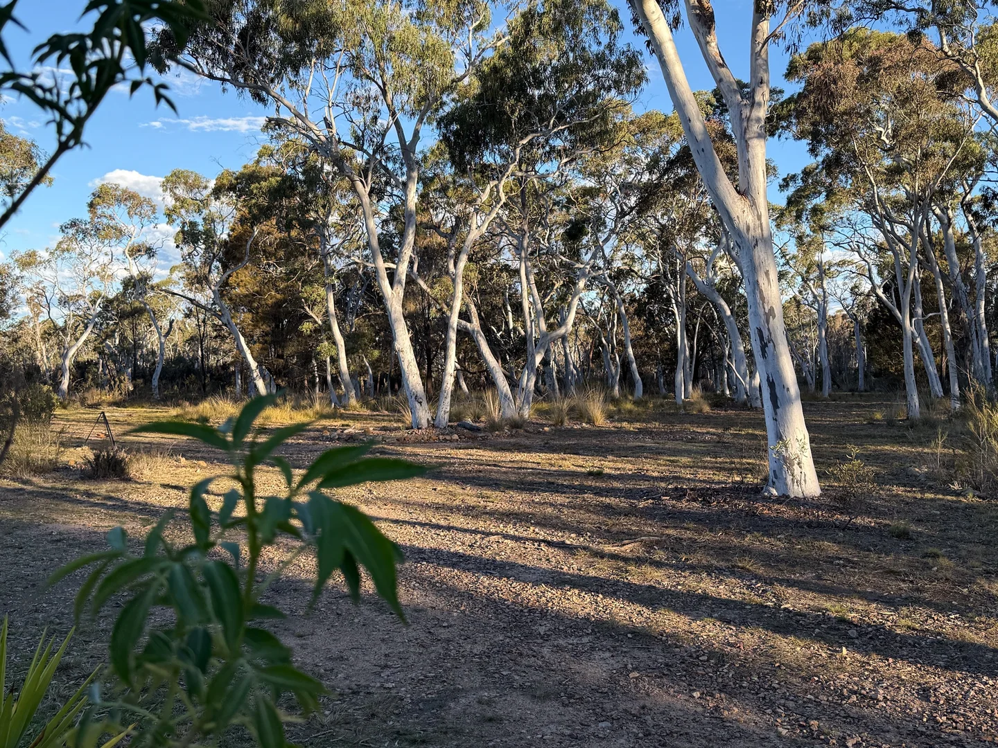 Additional image 38 of 385 Foxs Elbow Road, Braidwood NSW 2622