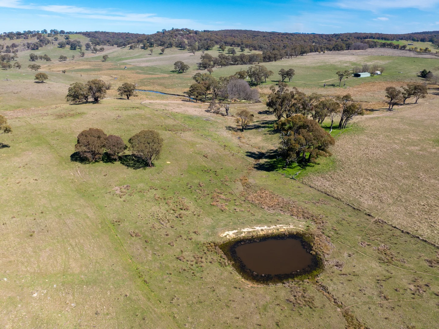 Additional image 16 of 5353 Trunkey Road, Trunkey Creek NSW 2795