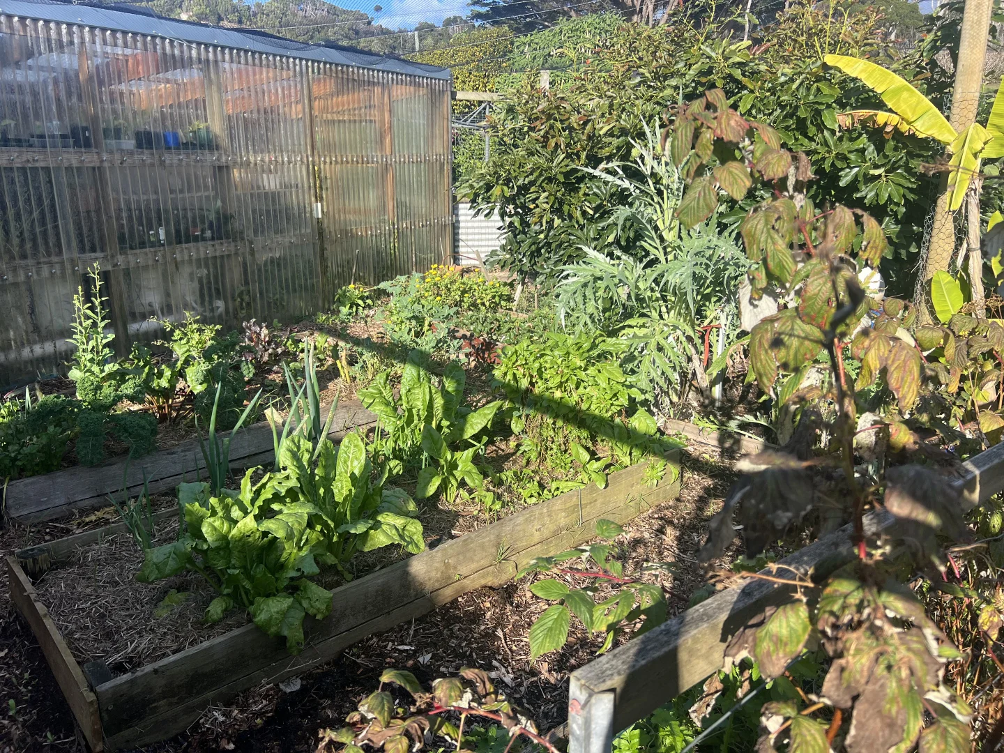 Additional image 40 of 19 Forrest Street, Naracoopa TAS 7256