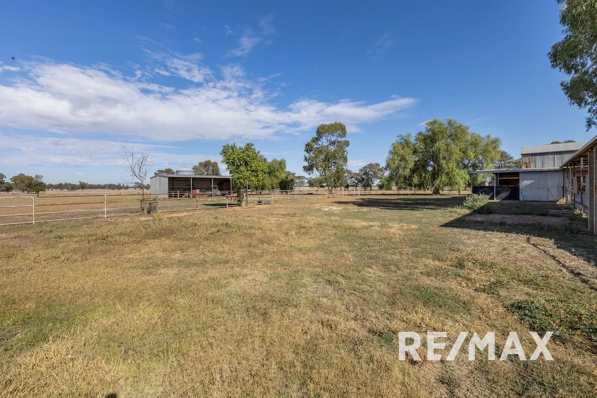 Additional image 17 of 2463 Sturt Highway, Collingullie NSW 2650