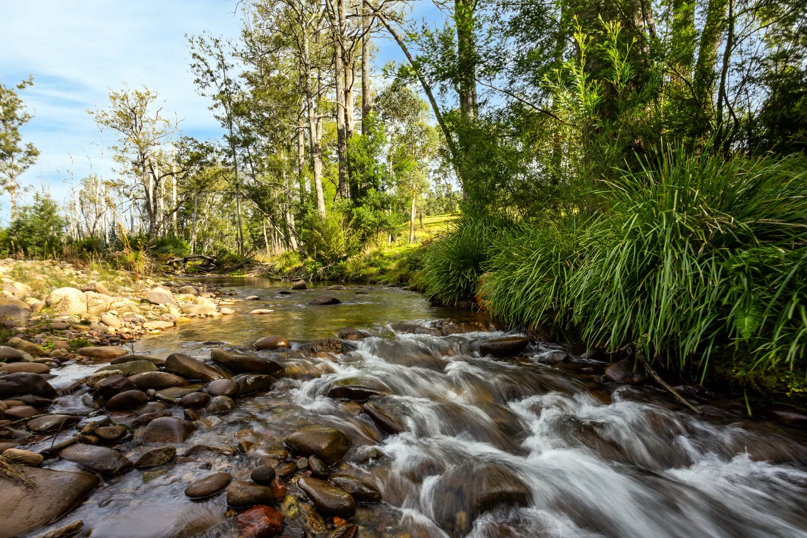 Additional image 9 of Lot 63 Watts Road, Cobargo NSW 2550