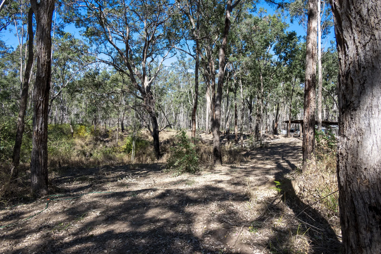 Additional image 30 of 151 Cameron Road, Taromeo QLD 4314