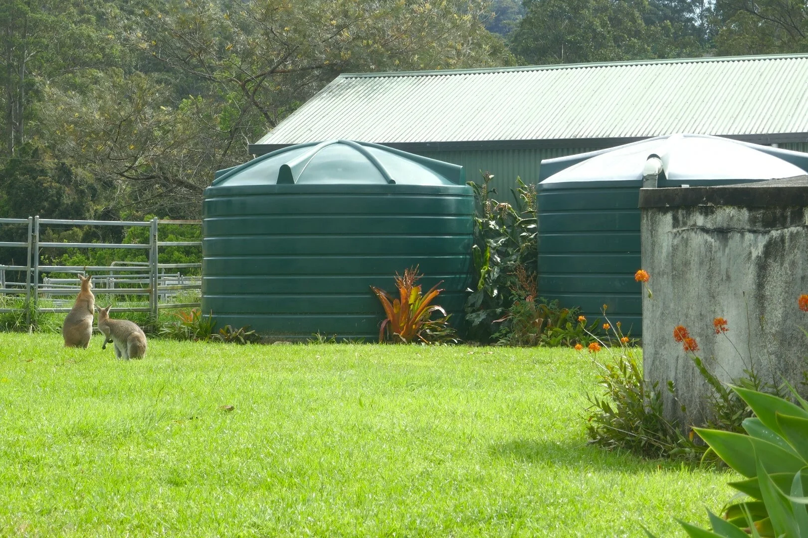 Additional image 17 of 66 Old Tweed Road, Wadeville NSW 2474