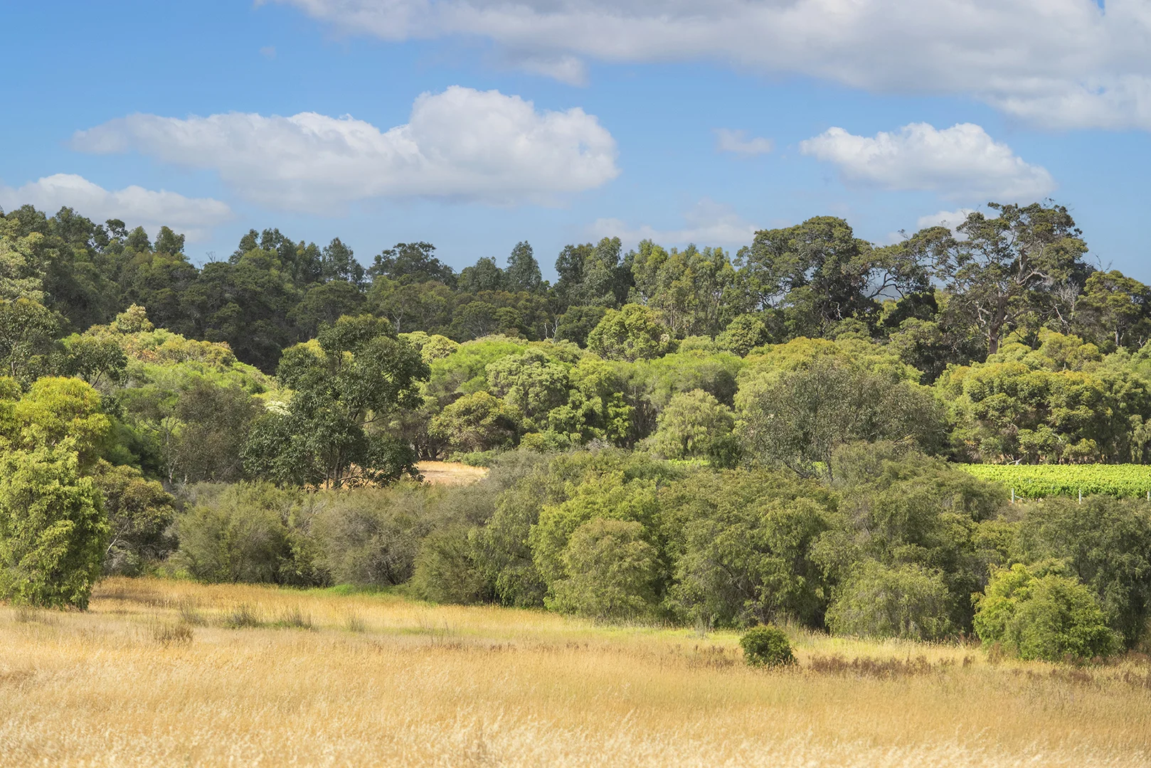 Additional image 10 of 243 Miamup Road, Cowaramup WA 6284