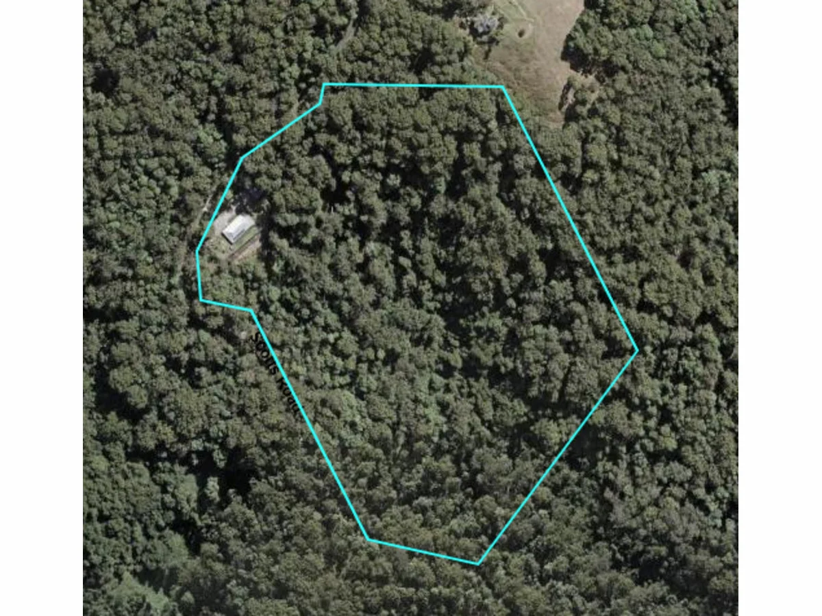 Additional image 33 of 209 Scotts Road, Booroobin QLD 4552