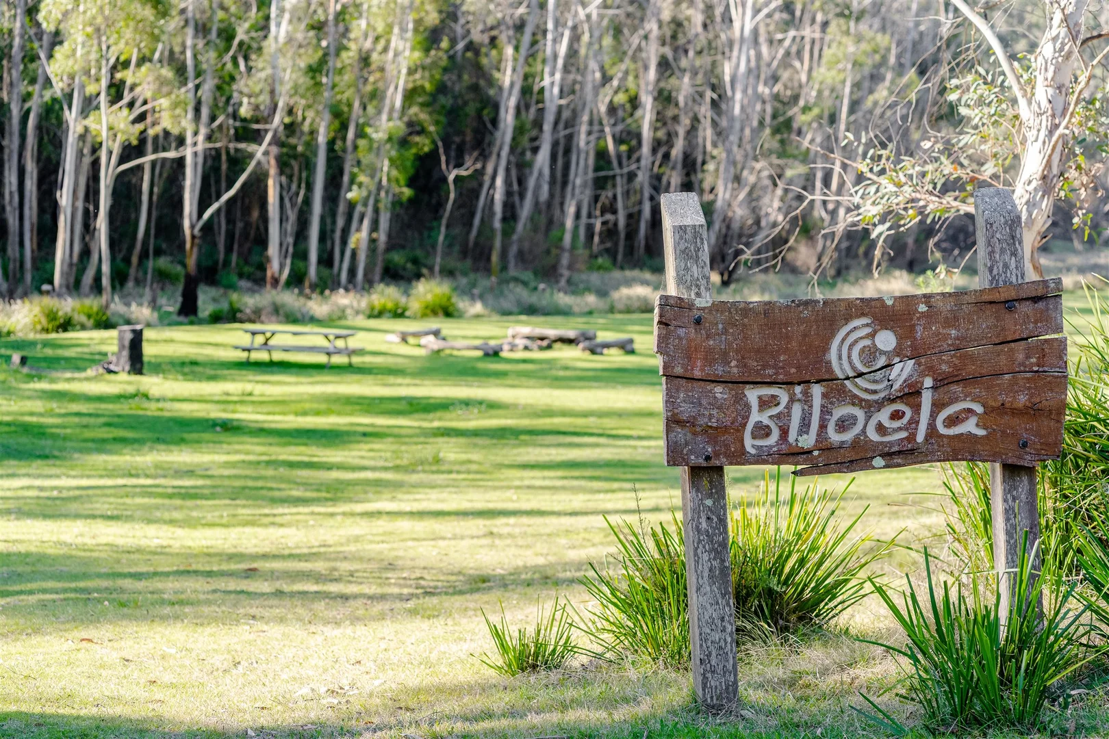 Additional image 9 of Belanglo NSW 2577