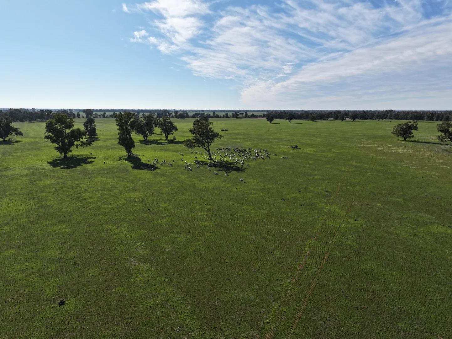 Additional image 11 of Berrigan Oaklands Road, Berrigan NSW 2712