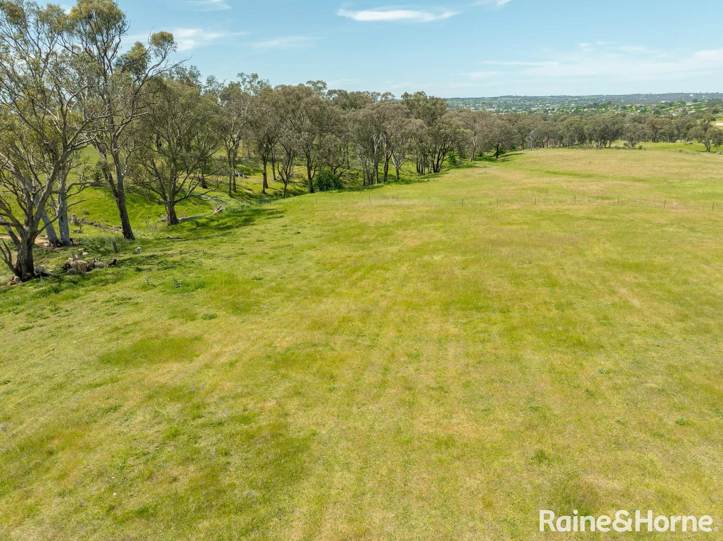 Additional image 6 of 75-84 Crowe Road, Young NSW 2594