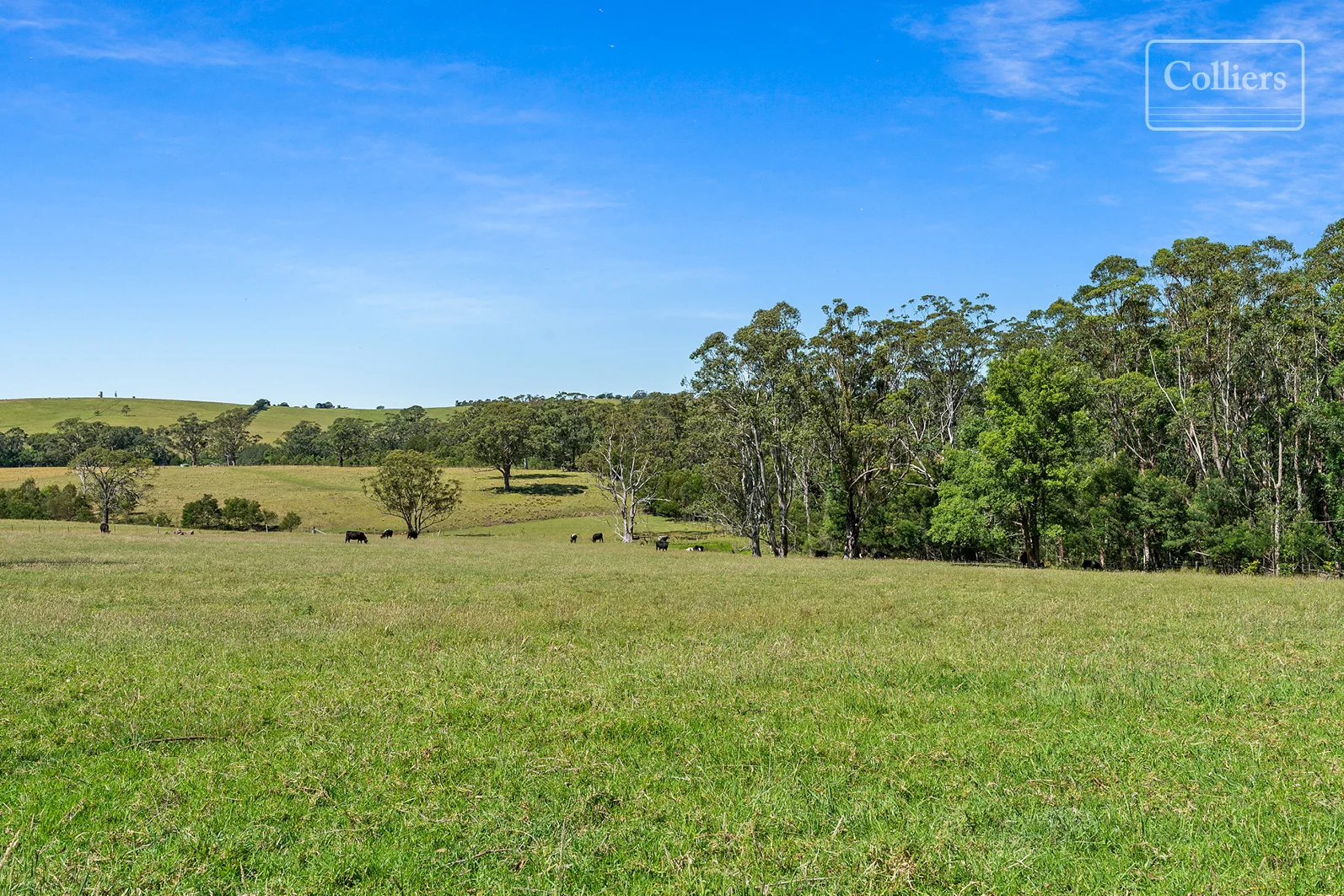 Additional image 9 of 227-229 Little Forest, Little Forest NSW 2538