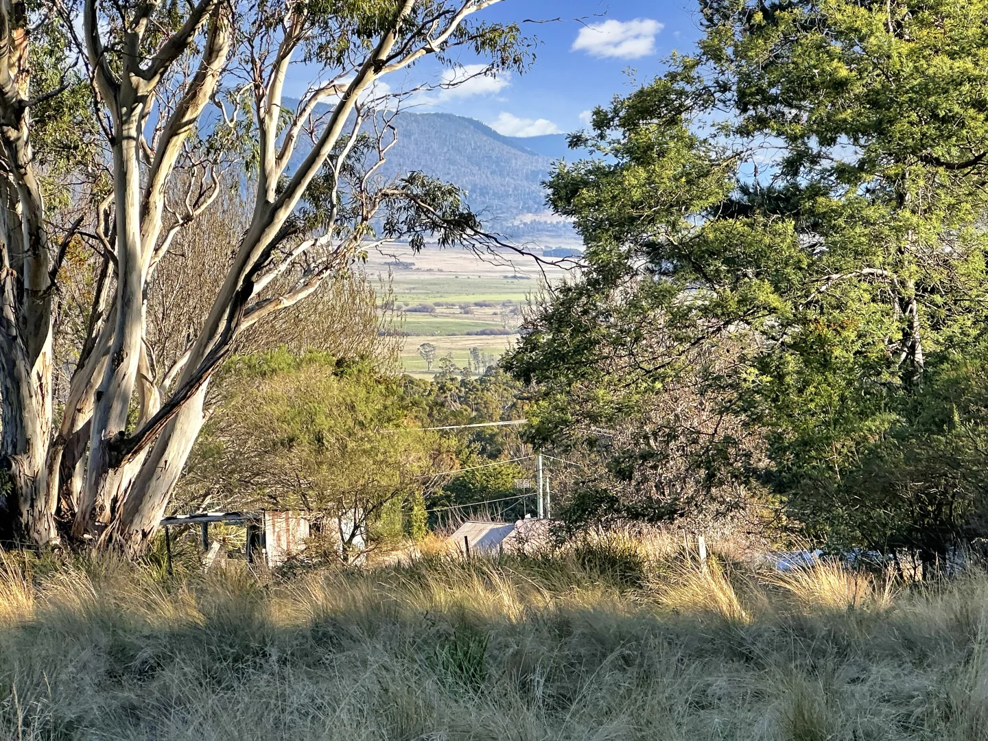 Additional image 5 of 14 Crosby Street, Cornwall TAS 7215