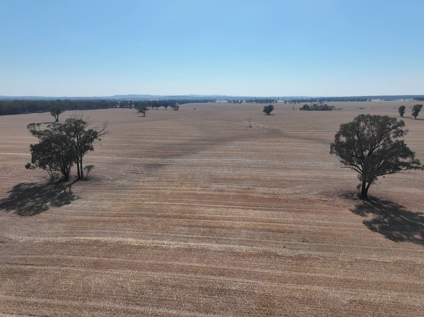 Additional image 5 of 'Wattlevale' 875 Schmidts Lane, Gidginbung NSW 2666