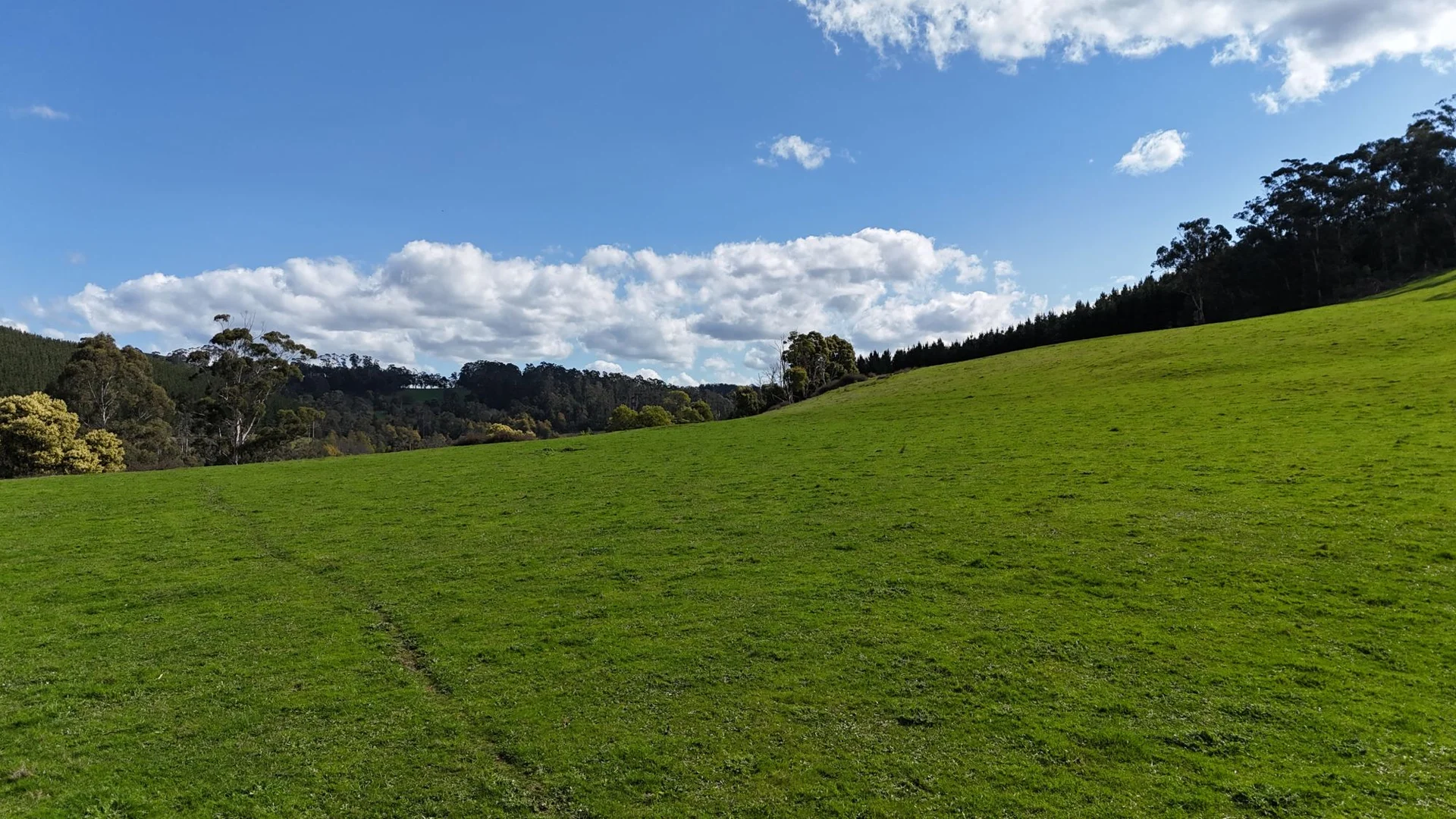 Additional image 25 of 141 BUNDERRA DRIVE, Boolarra VIC 3870