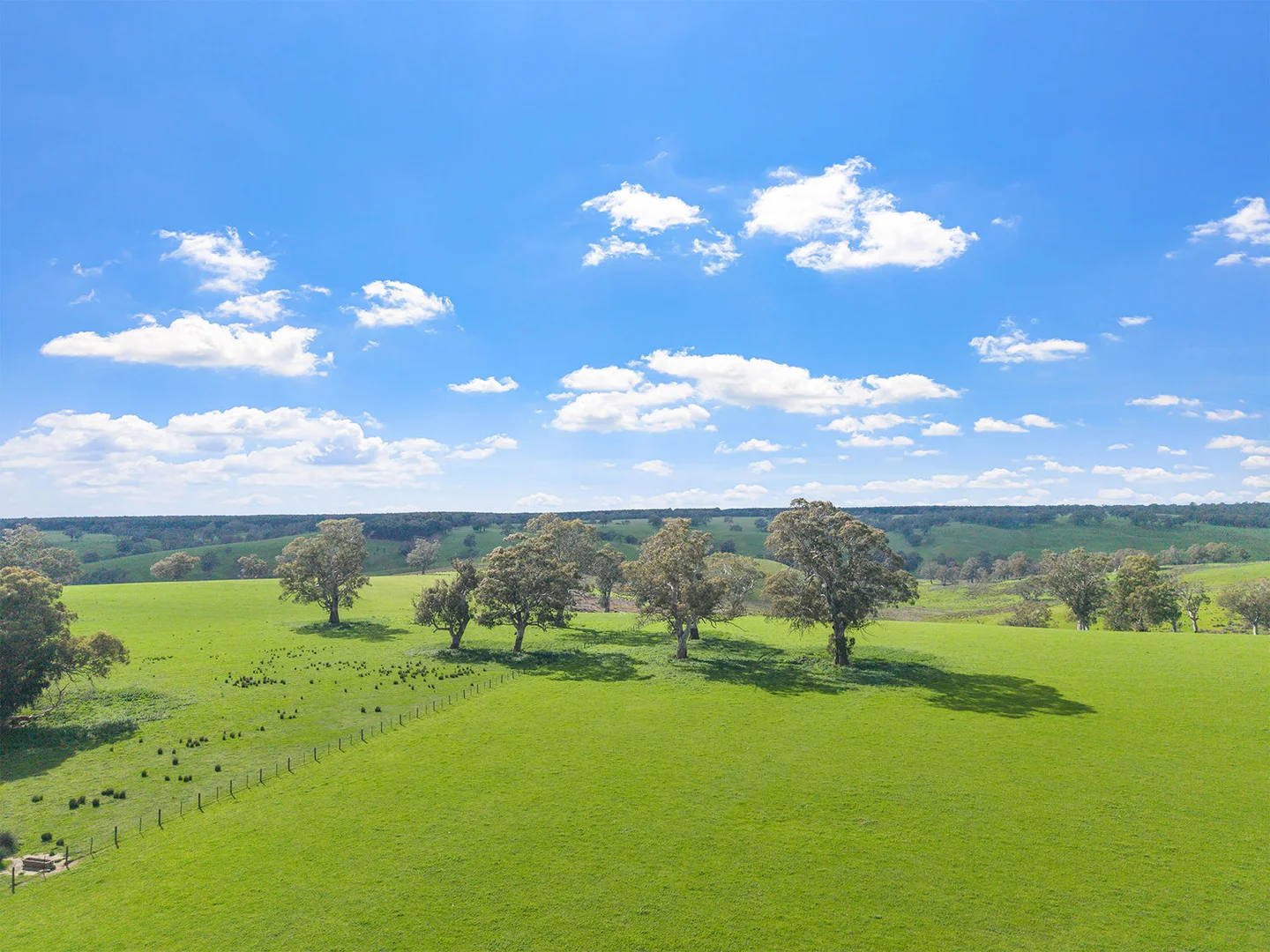 Additional image 2 of 3786 Casterton Edenhope Road, Chetwynd VIC 3312