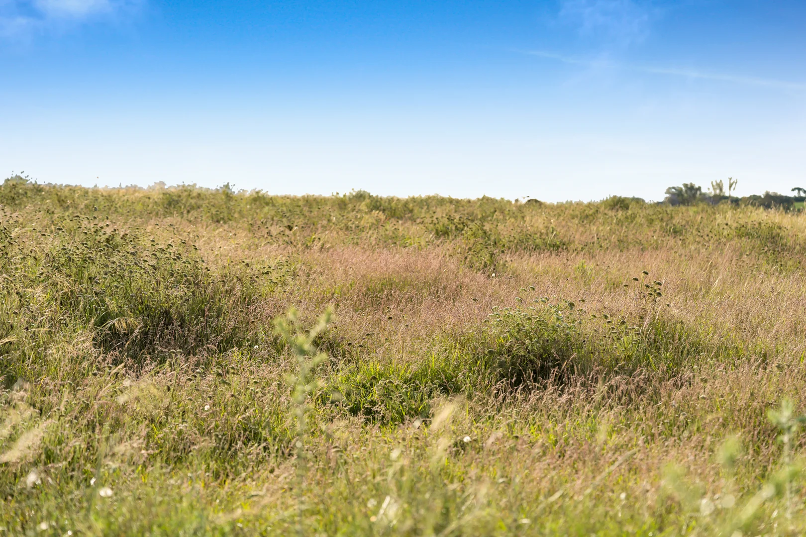 Additional image 6 of 148 Cawdor Road, Camden NSW 2570