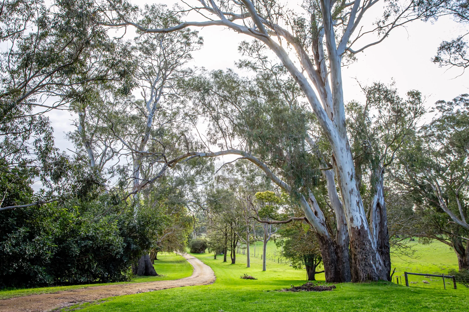 Additional image 38 of 219 Ockley Rd, Comaum SA 5277