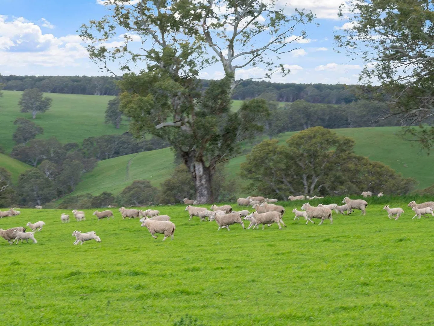 Additional image 23 of 3786 Casterton Edenhope Road, Chetwynd VIC 3312