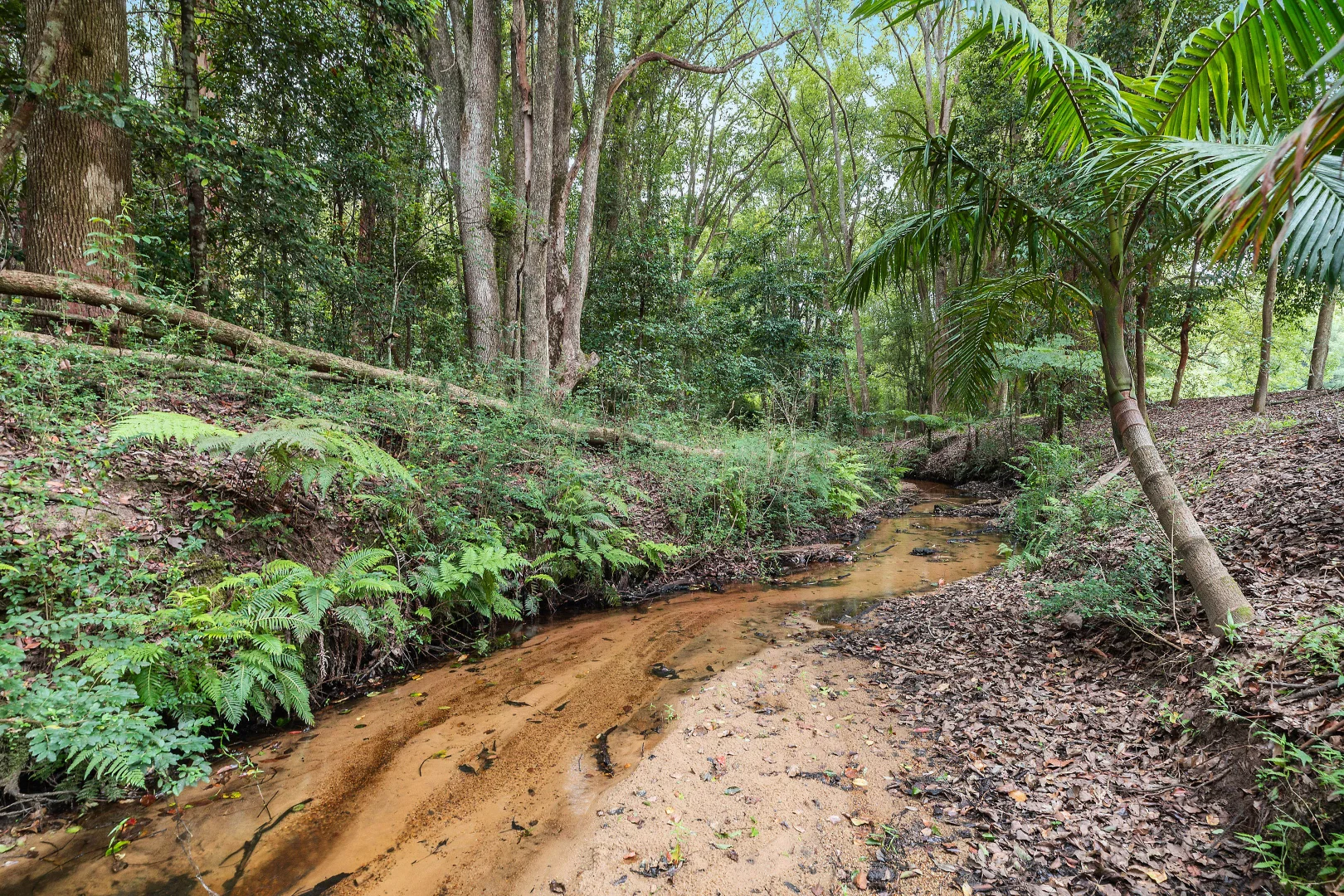 Additional image 26 of 40 Bumbles Creek Road, Ourimbah NSW 2258