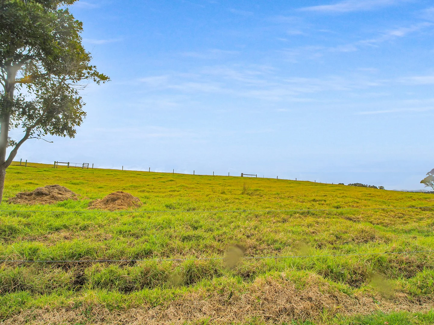 Additional image 22 of 473 Princes Highway, Orbost VIC 3888