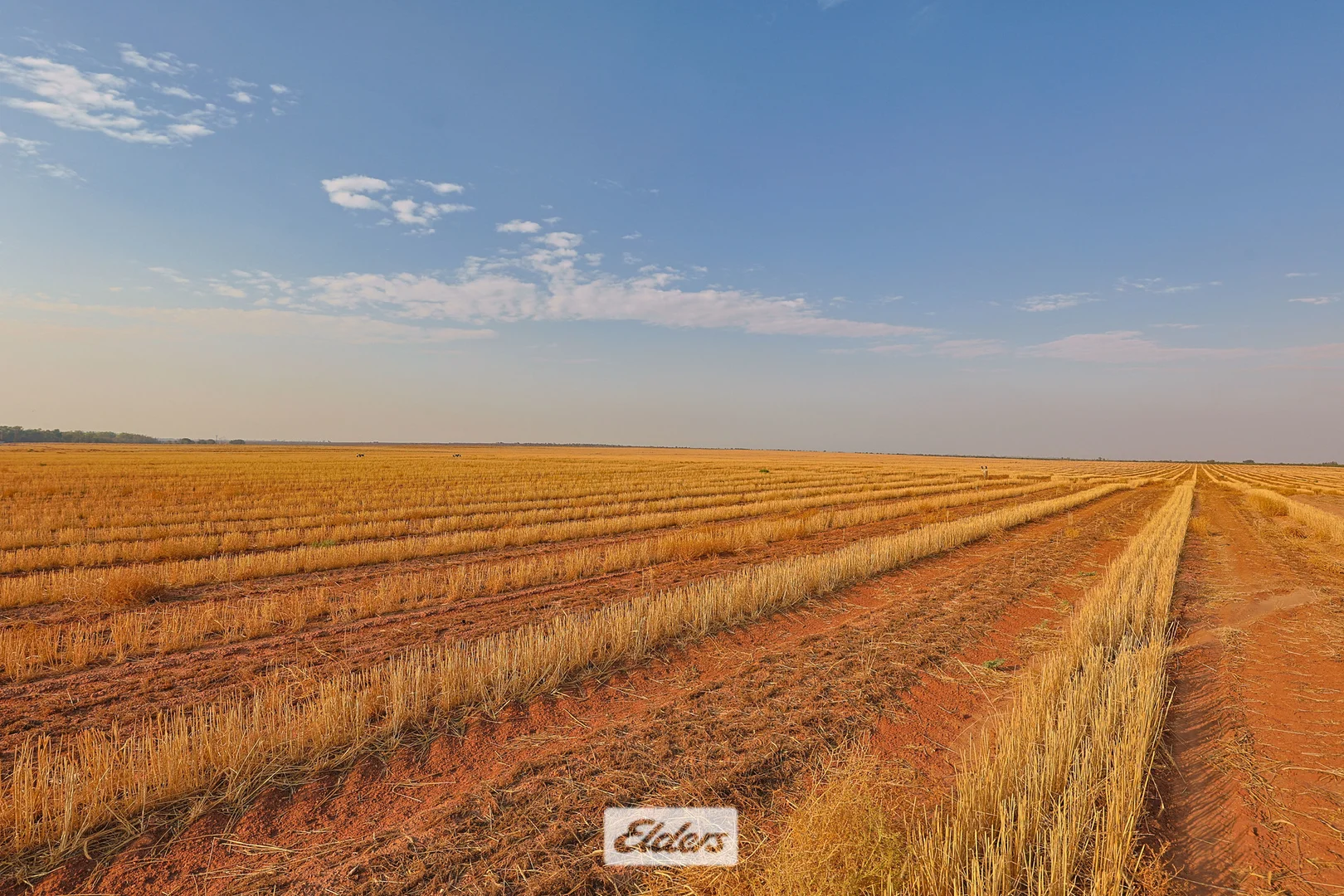 Additional image 7 of 340 West Wilcannia Road, Menindee NSW 2879