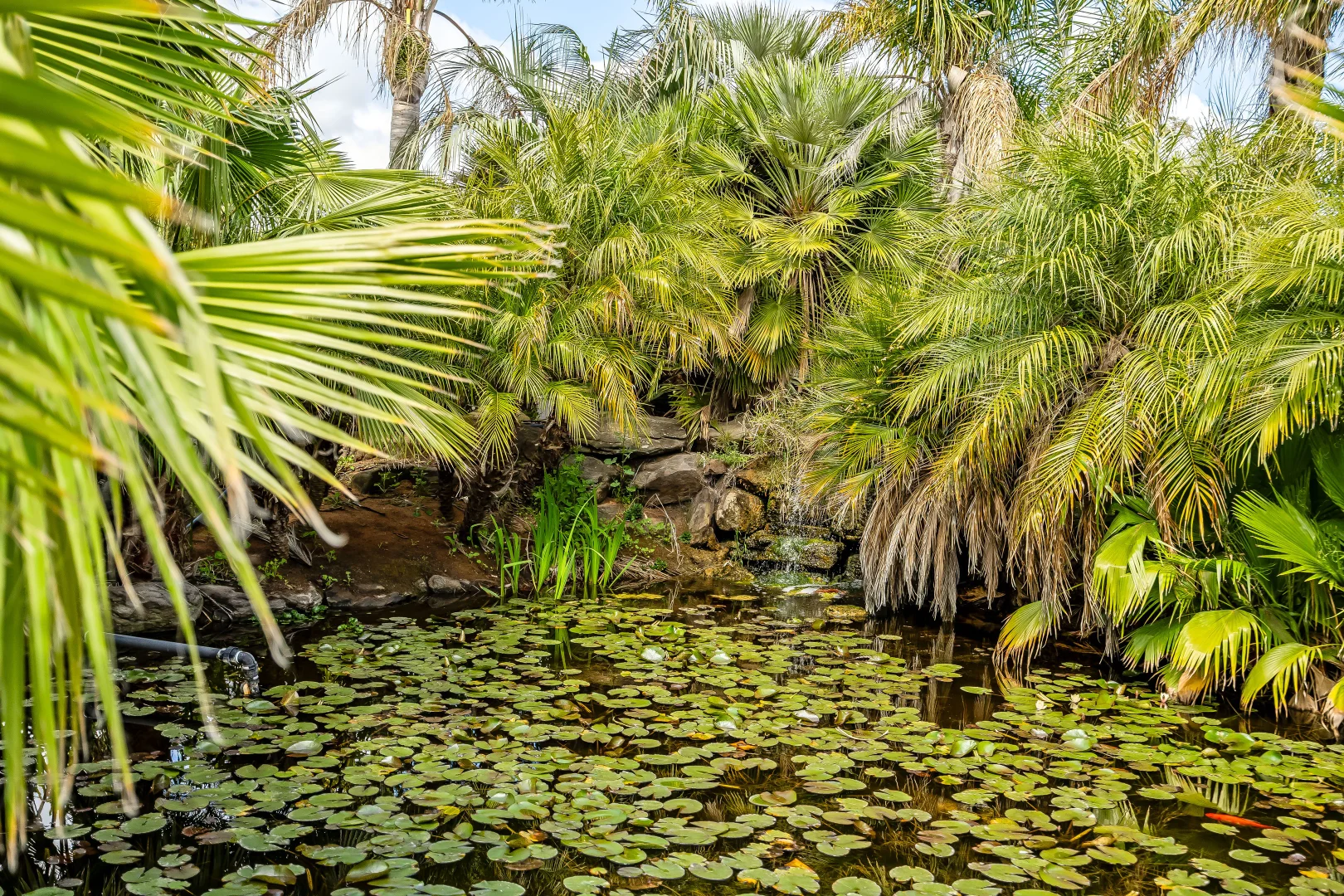 Additional image 47 of 726 Langhorne Creek Road, Belvidere SA 5255