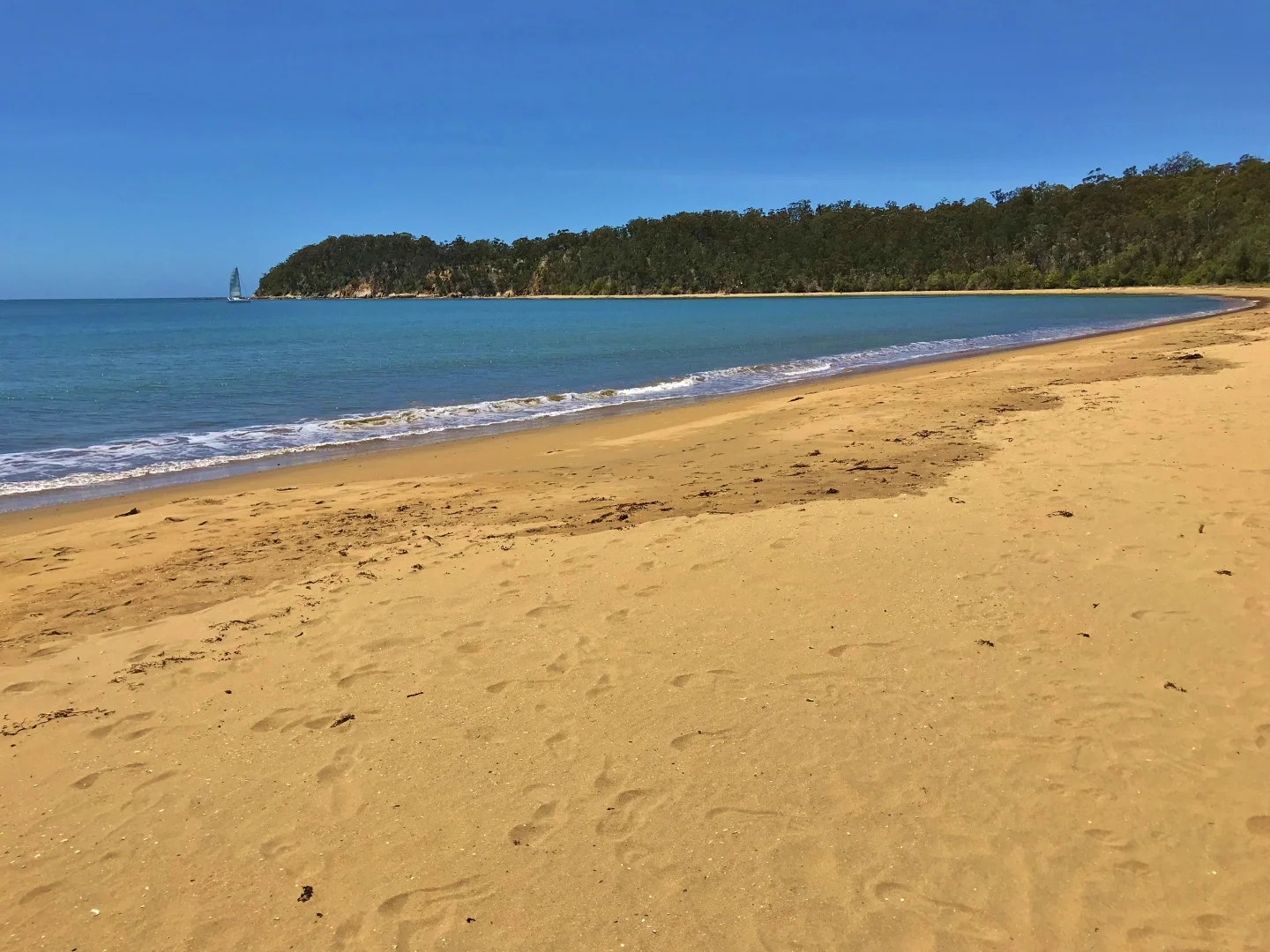 Additional image 13 of 5 Cornubia Place, Boydtown NSW 2551