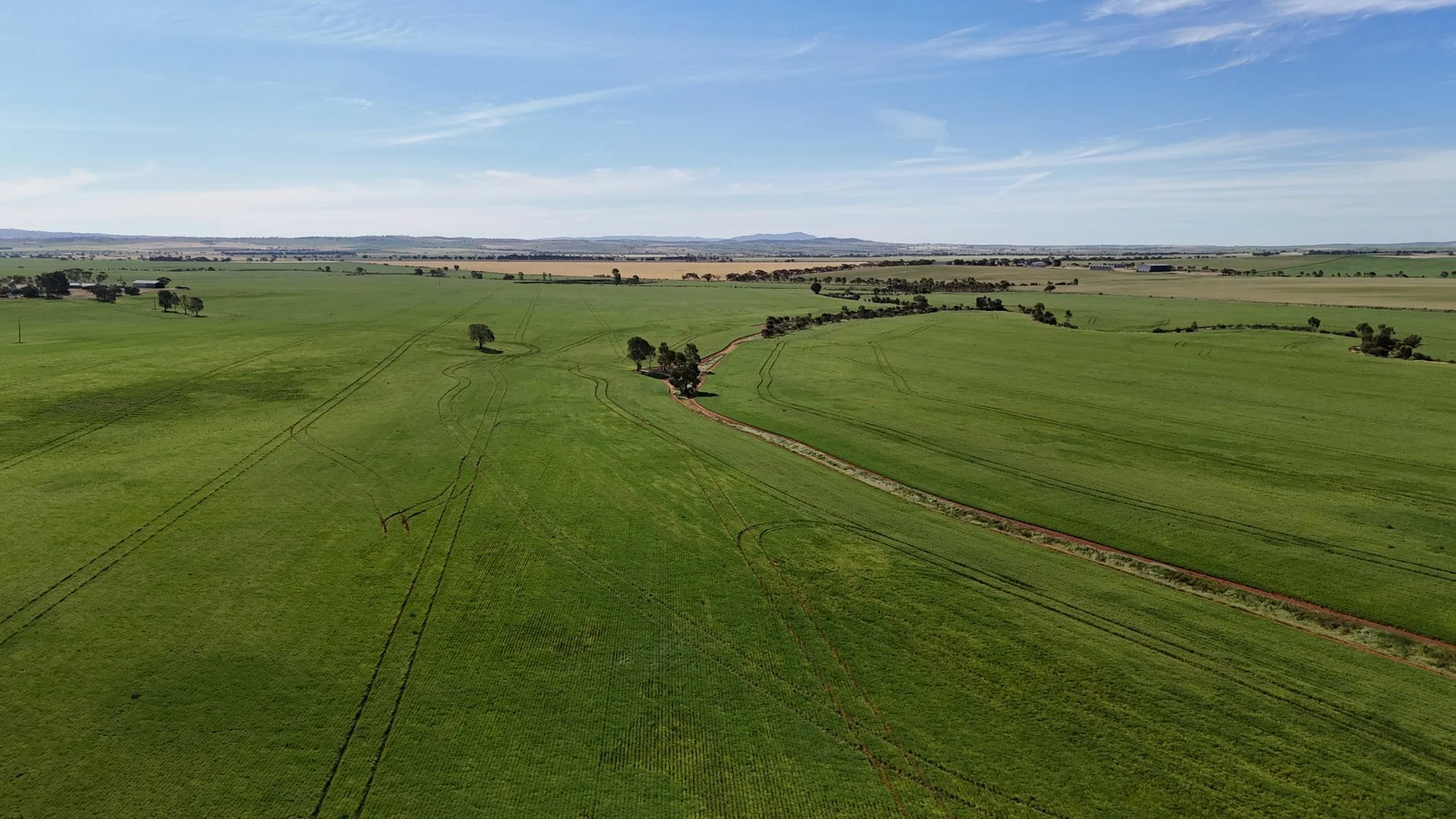 Additional image 12 of 'Pinefield' 186 Catford Rd, Appila SA 5480