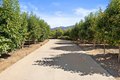 Additional image 71 of 32752 Luiseno Circle Dr, Pauma Valley, CA, 92061