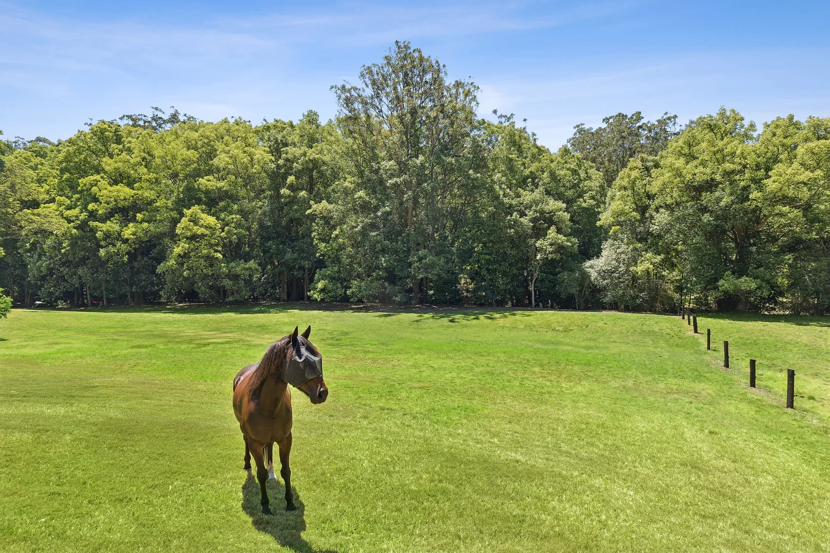 Additional image 8 of 40 Bumbles Creek Road, Ourimbah NSW 2258