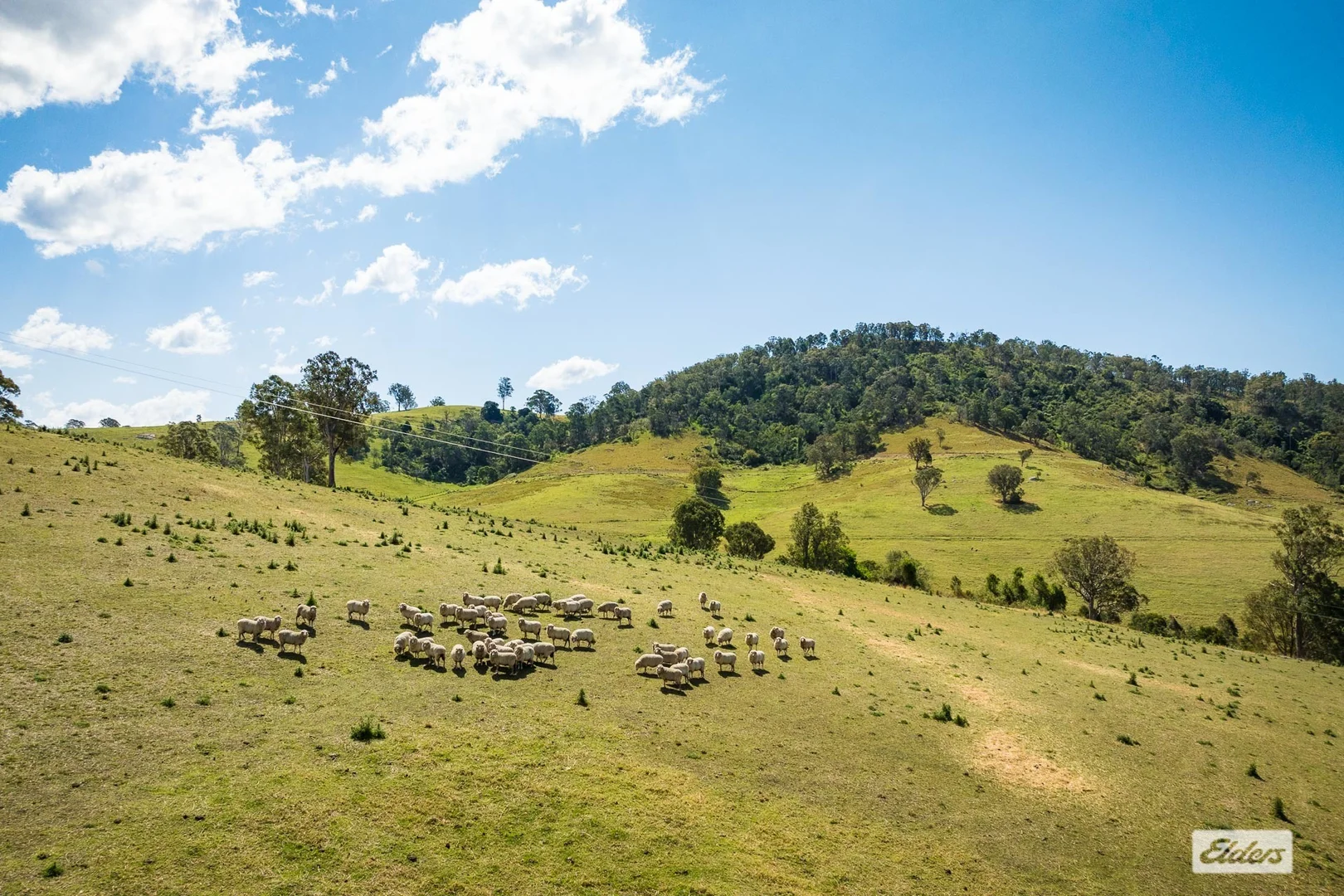 Additional image 79 of 354 Tantawangalo Mountain Road, Candelo NSW 2550