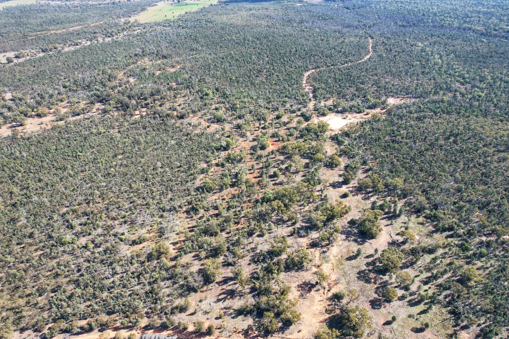 Additional image 2 of 4546 The Bogan Way, Tottenham NSW 2873