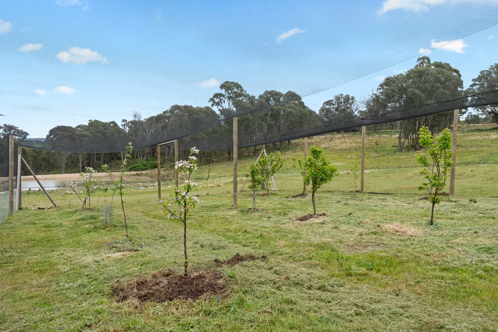 Additional image 22 of 13 Bell Lane, Mummel NSW 2580