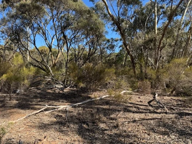 Additional image 8 of 69A Ainsworth Road, Wedderburn VIC 3518