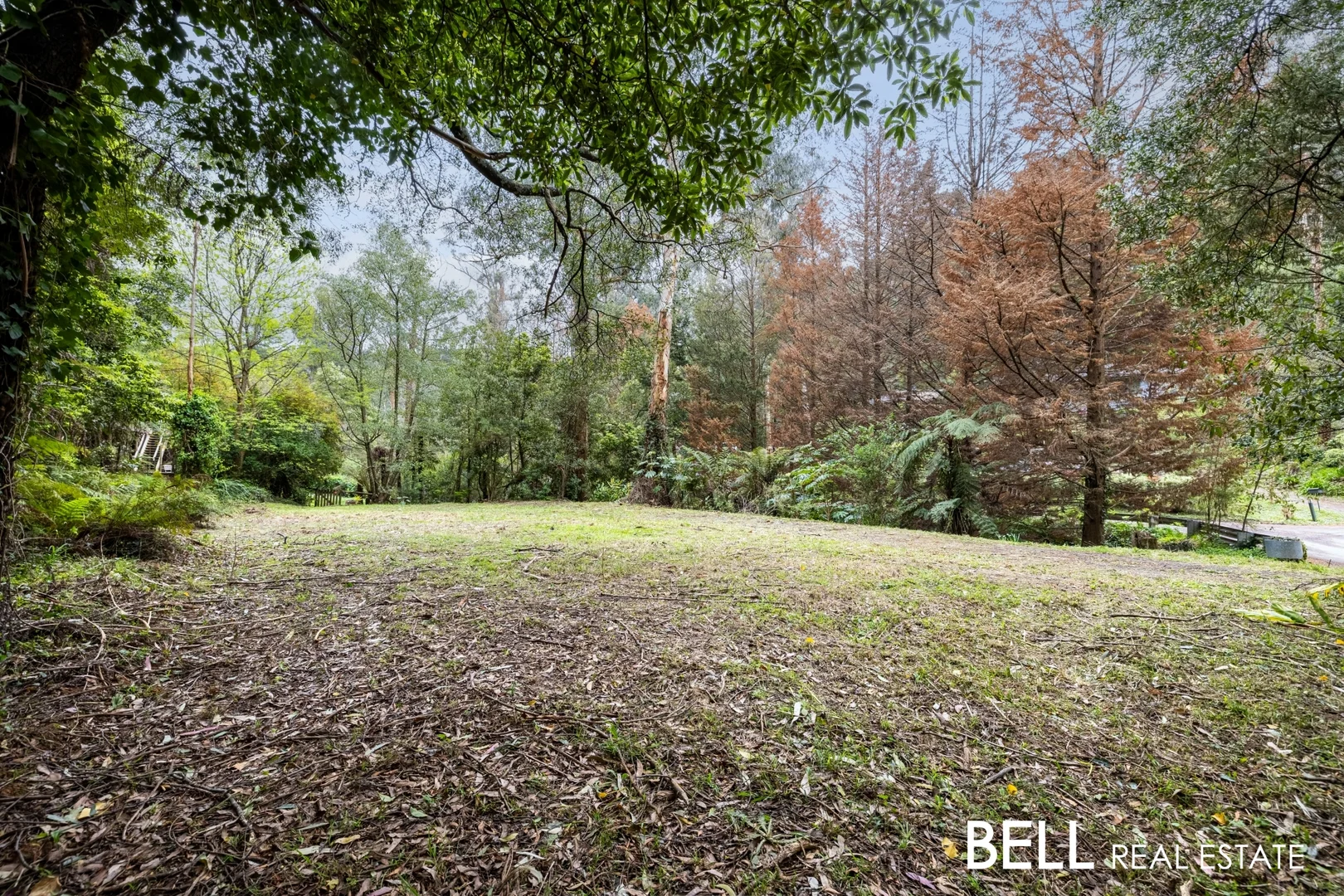 Additional image 5 of 103 Belgrave-Gembrook Road, Selby VIC 3159