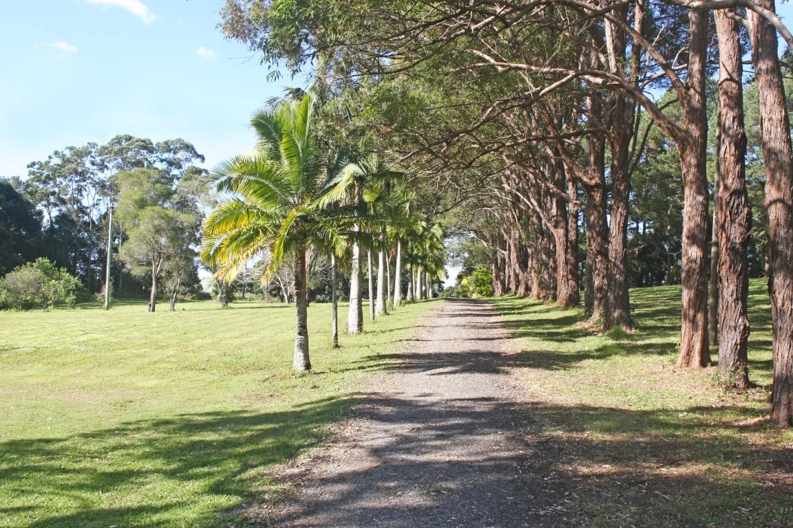 Additional image 5 of 709 Federal Drive, Federal NSW 2480