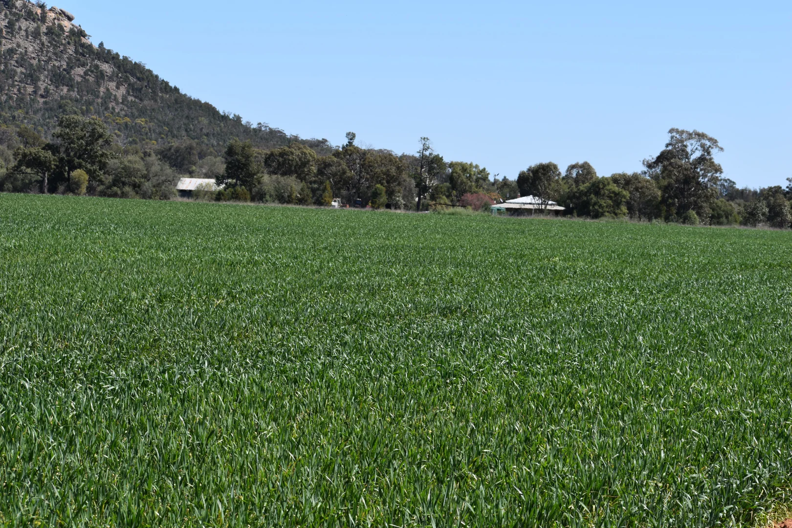 Additional image 12 of 120 Ganantagi Road, Yarrabandai NSW 2875