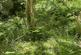 Additional image 5 of Waungilwen, Drefach-Velindre SA44