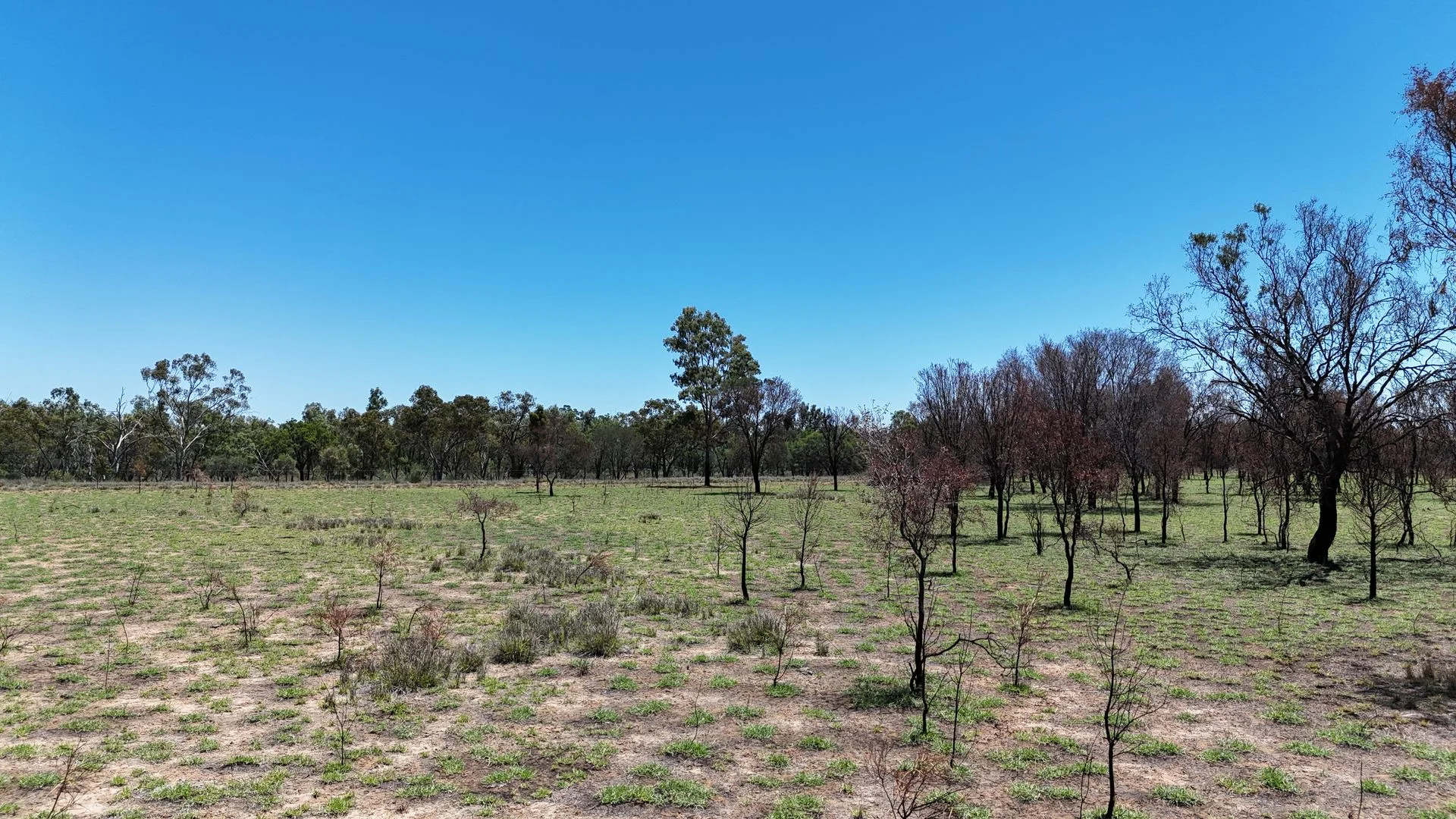 Additional image 13 of 202-410 Wallal Street, Bakers Bend QLD 4470