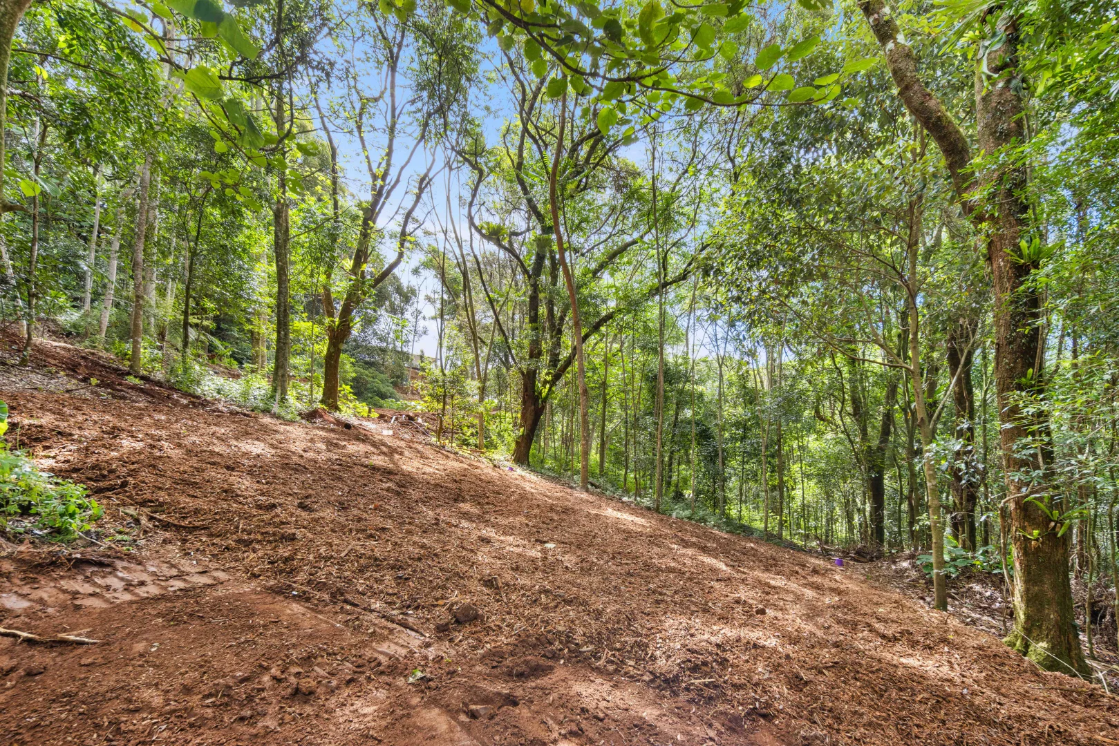 Additional image 17 of 2481 Springbrook Road, Springbrook QLD 4213