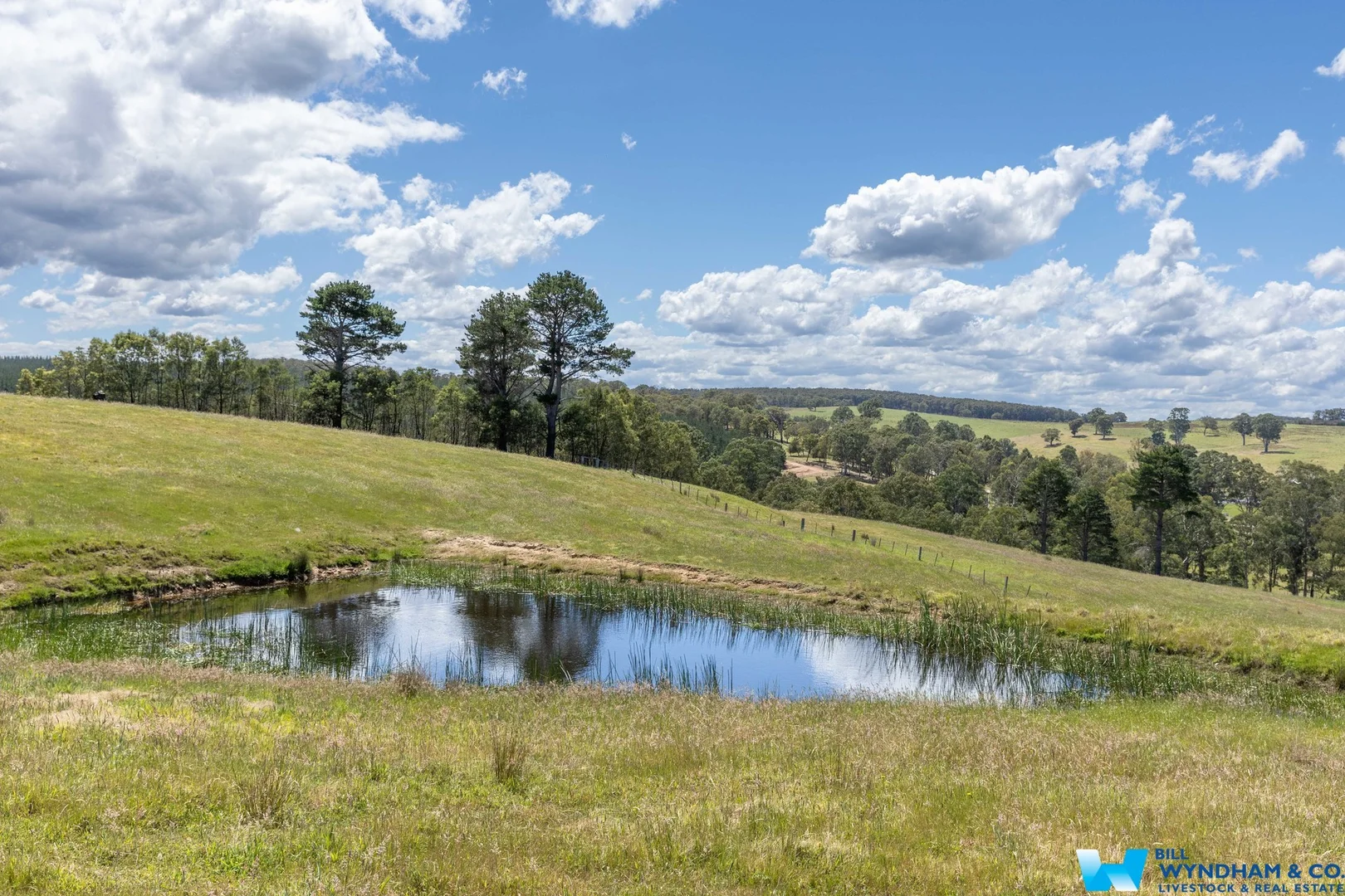 Additional image 31 of 3235 Bairnsdale - Dargo Road, Glenaladale VIC 3864