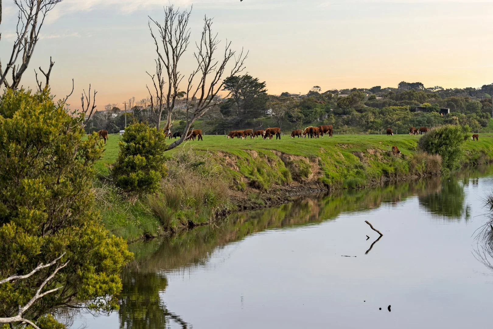 Additional image 11 of 80 Great Ocean Road, Apollo Bay VIC 3233