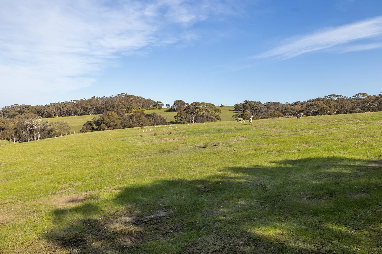 Additional image 13 of 160 Bells Road, Bells Beach VIC 3228